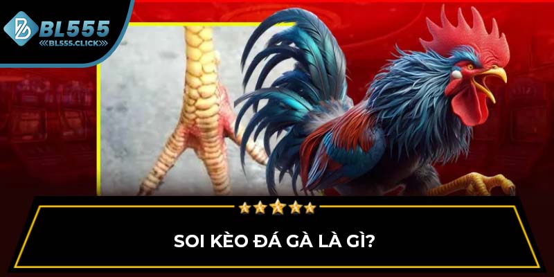 Soi kèo đá gà là gì?
