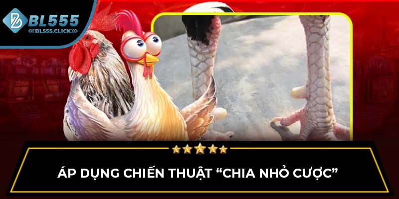 Áp dụng chiến thuật “chia nhỏ cược”